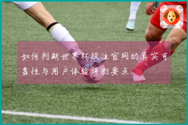 如何判断世界杯投注官网的真实可靠性与用户体验评测要点
