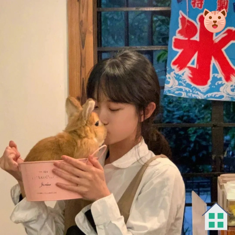 网友阿峰